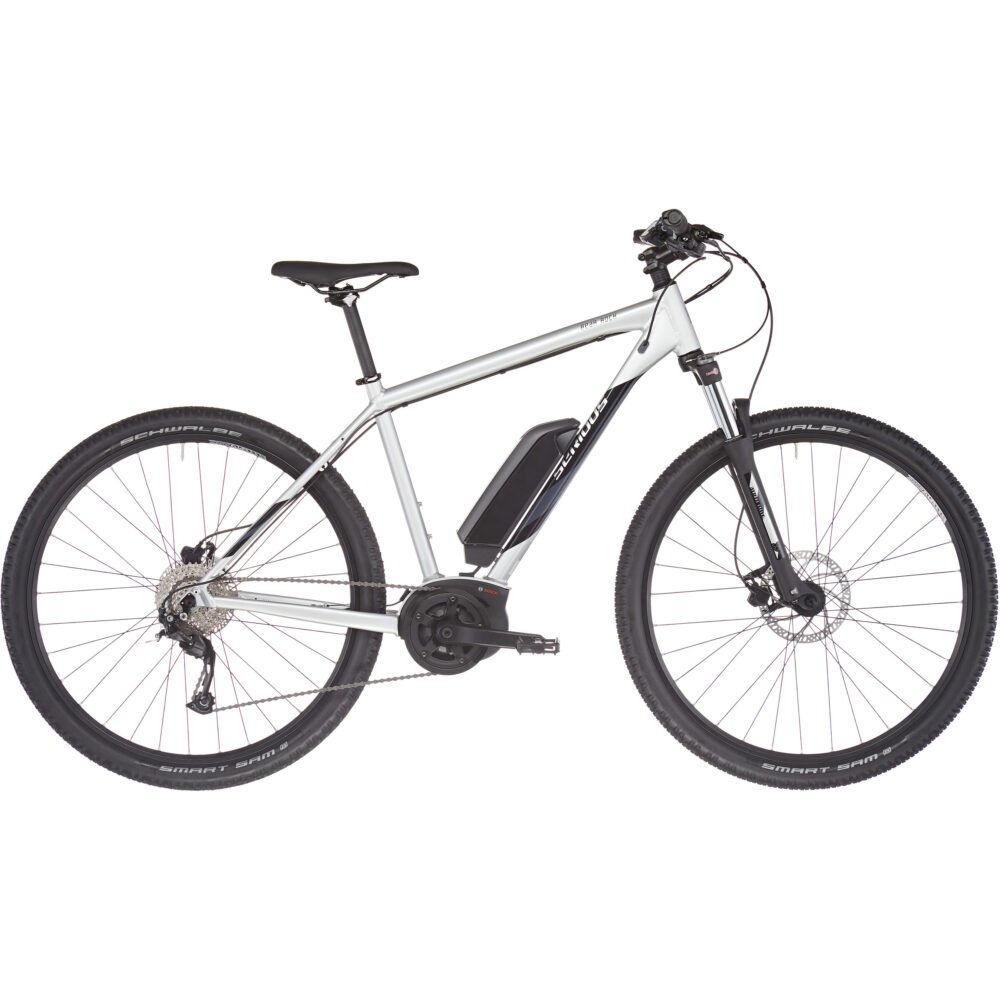 SERIOUS BEAR ROCK 29", ARGENT