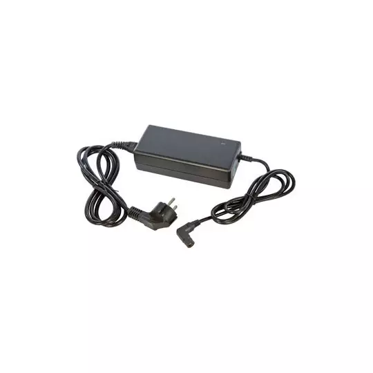 Chargeur 36V Phylion Gitane RCA